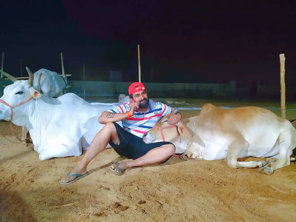 गौवंश के बीच