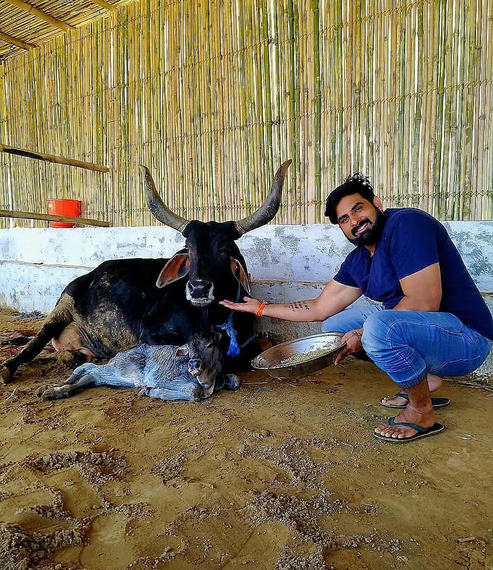 गौ-सेवा
