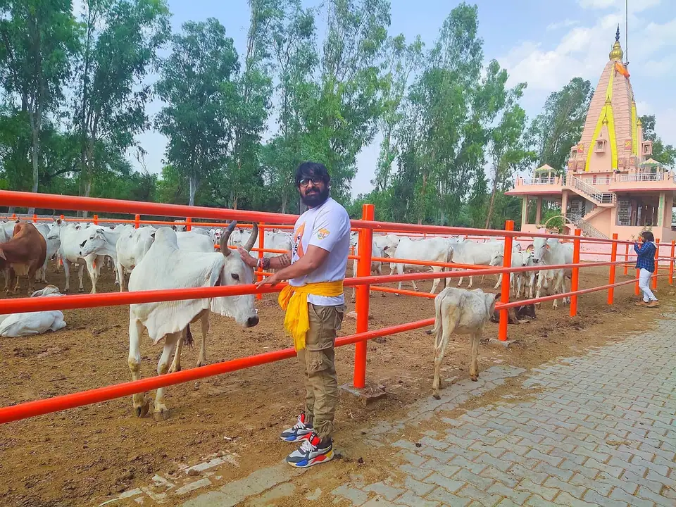 धनौरी गौशाला, 2020